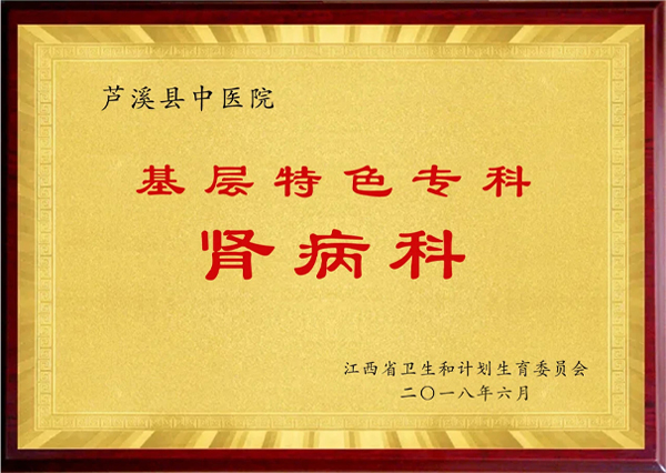 基层特色专科—肾病科